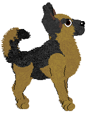 German Shepherd Dog - Amenity/Rosestone
