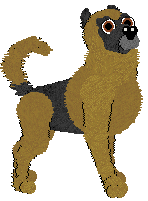 German Shepherd Dog - Amenity/Rosestone