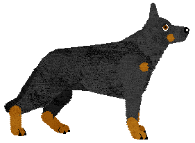 German Shepherd Dog - Supernova V3