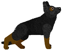 German Shepherd Dog - Zodiac V2