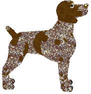 German Shorthaired Pointer - FireRidge V1