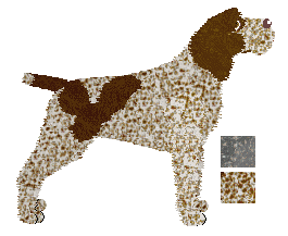 German Wirehaired Pointer - Java