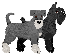 Giant Schnauzer - Supernova V1