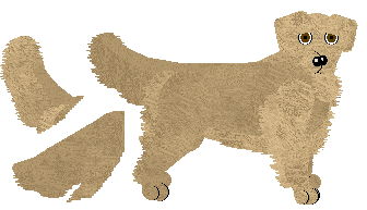 Golden Retriever - Cirrutopia