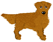 Golden Retriever - AR/Cierra