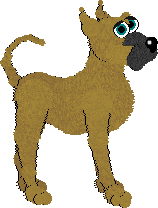 Great Dane - PF Magic