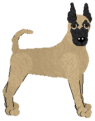 Great Dane - Abnormality V1