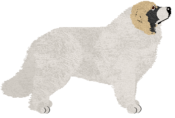 Great Pyrenees - Cirrutopia V4