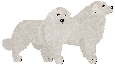 Great Pyrenees - Cirrutopia V2
