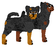 Griffon - Autumn Down