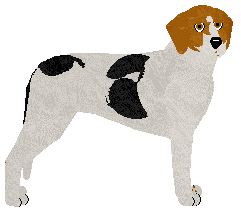 Halden Hound - Supernova