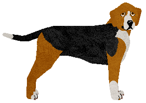 Hamiltonstovare - Supernova V3