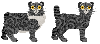 Highlander - Unknown