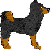 Hokkaido - Abnormality