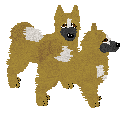 Icelandic Sheepdog - Finishing Touch V2