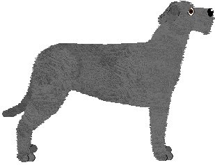 Irish Wolfhound - Abnormality (Lotus) V1