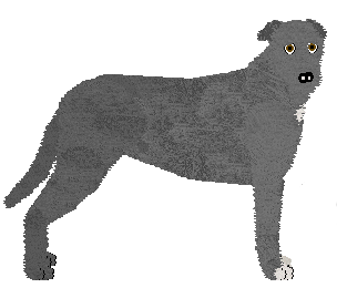 Irish Wolfhound - Abnormality (Lotus) V2