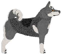 Jamthund - Supernova