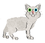 Japanese Bobtail - Pawsative Attitude