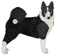 Karelian Bear Dog - Abnormality