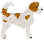 Kromfohrlander - Supernova