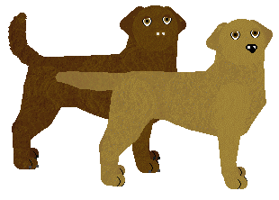 Labrador Retriever - Petz Underground