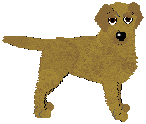 Labrador Retriever - Java