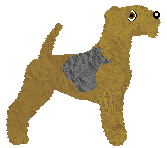 Lakeland Terrier - AR/Cierra V2
