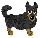 Lancashire Heeler - Amenity/Rosestone