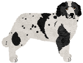 Landseer - PDH's Resources