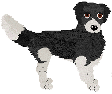 Large Munsterlander - Supernova V1