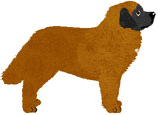 Leonberger - Abnormality V2