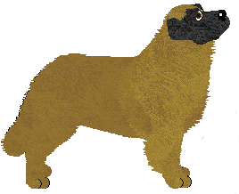 Leonberger - Abnormality V1