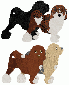 Lowchen - PDH's Resources V3