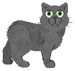 Manx - Unknown (Manx)