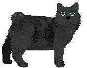 Manx - Supernova (Cymric) V1