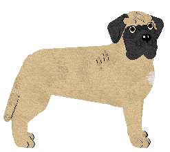 Mastiff - Supermuffin