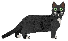 Munchkin - Supernova