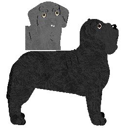 Neapolitan Mastiff - Supermuffin V2