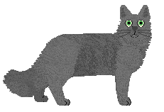 Nebelung - Supernova V2