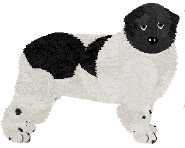 Newfoundland - Abnormality V2