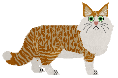 Norwegian Forest Cat - Filigree