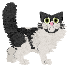 Norwegian Forest Cat - Paranoia V1