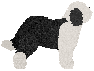 Old English Sheepdog - Supernova