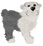 Old English Sheepdog - PF Magic