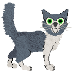 Oriental Longhair - Pawzative Attitude V2