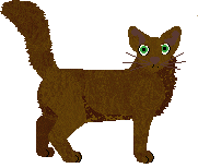 Oriental Longhair - Lime Green Flamingos