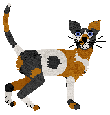 Oriental Shorthair - Sunhill