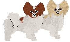 Papillon - Supernova (Papillon) V1