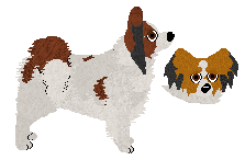 Papillon - Supernova (Papillon) V2